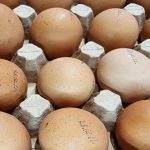 congelarea-oualor-crude-cum-sa-pregatiti-corect-produsul-pentru-depozitare.jpg